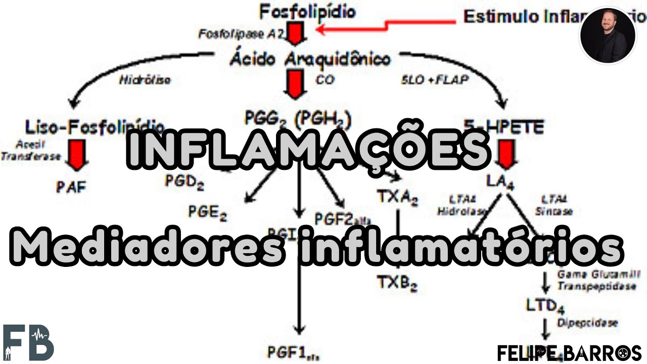 INFLAMAÇÃO - MEDIADORES INFLAMATÓRIOS | Prof. Felipe Barros
