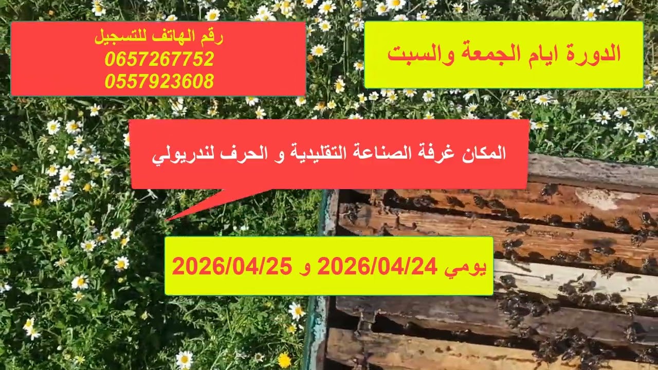 دورة في تربية النحل بولاية سطيف الجمعة و السبت 2026/04/24 و 2026/04/25