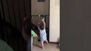 When your toddler can open the baby gate