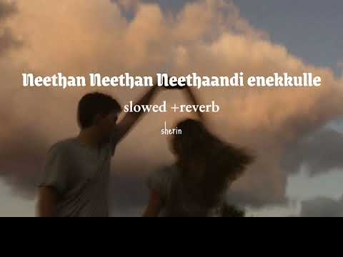 -slowed Neethan neethan neethandi enekulle - Mugen rao _ Tamil love song whatsapp status