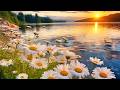 This little light of Mine (Instrumental)  Traditional Beautiful Spiritual Hymn arranged by Tim Janis