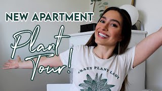 New Apartment PLANT TOUR! New Indoor and Outdoor Houseplants and Plant Update