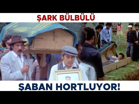 Şark Bülbülü Türk Filmi | Zülfo'nun Aklını Alıyor! Kemal Sunal Filmleri