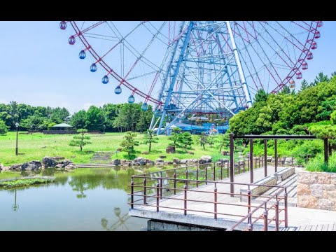 動画サムネイル
