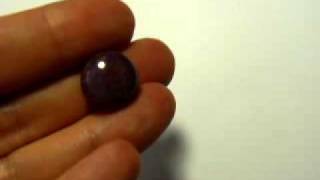 Download the video "P1170889"