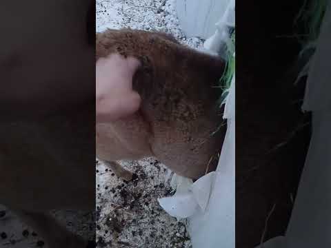 Путешествуем c Владимиром Волошиным TRAVEL video