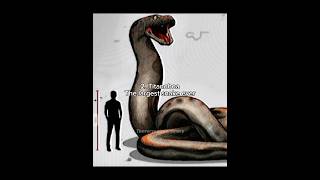 Nature got rid of these animals for the sake of the WORLD 💀 #prehistoric #dinosaur