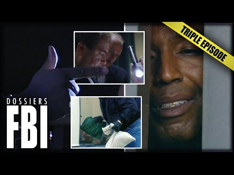 Les Meilleurs Episodes De La 3ème Saison | TRIPLE EPISODE | Dossiers FBI