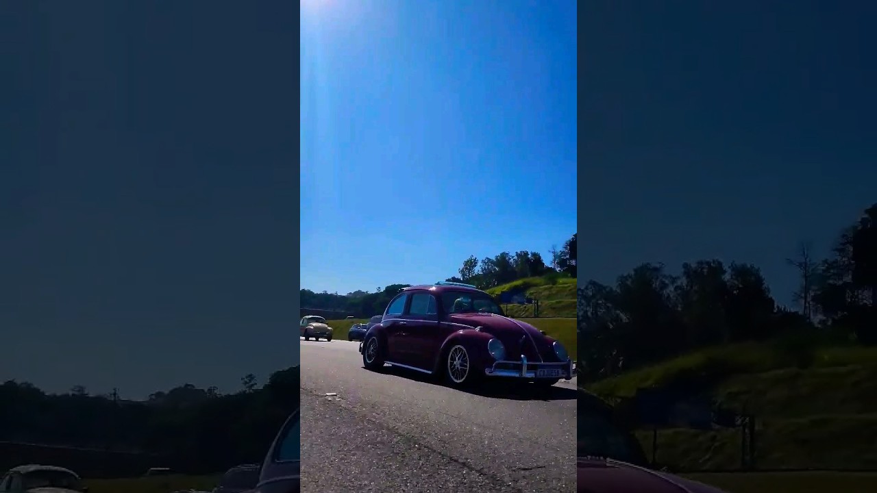 Em dupla! #carros #classicos #carrosantigos #aircooled #fusca #fuscaclub #volkswagen #viral