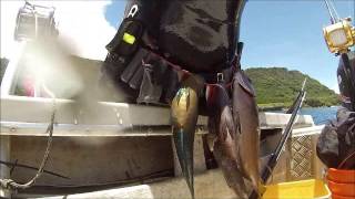 preview picture of video 'guam fishing jigging and spear freediving'