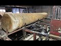 Saw Milling Big Beautiful Poplar 135