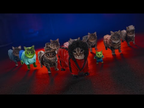 OIIA CAT x Thriller (Music Video Cat Version)