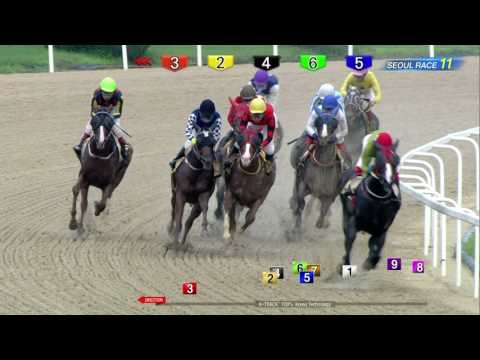 170716 Seoul R11 1200m