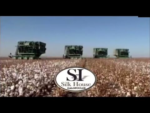 Cotton & Silk Agricultural Production - Silkhouse Galopoulos ARISVI THRACE