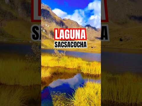 Hermosa Laguna SACSACOCHA