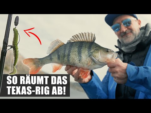 FINESSE rules: The TEXAS worm cleans up.