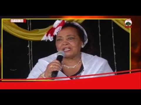 Promo Qophii Ayyaana Masqalaa OBN  14 01 2011