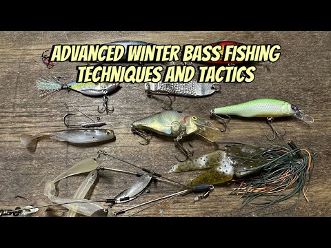 Advanced December-February Bass Fishing Techniques And Tactics