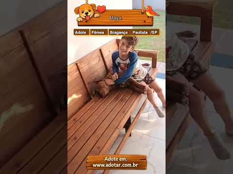 Vídeo de Maya