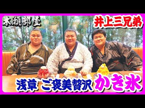 【仲良すぎ！井上三兄弟】浅草でご褒美の絶品かき氷！相撲の歩みと兄弟の素顔が見える本音トーク 2026.8.28
