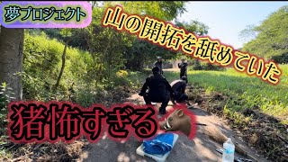 夢プロジェクト、猪怖すぎる🐗駆除業者探します。