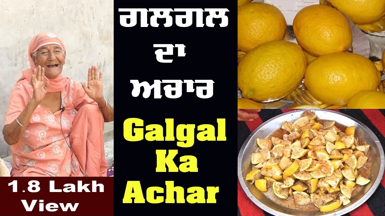 Galgal Ka Achar | Hill Lemon Pickle Recipe | Bebe Di Rasoi | Punjabi Village Woman Cooking