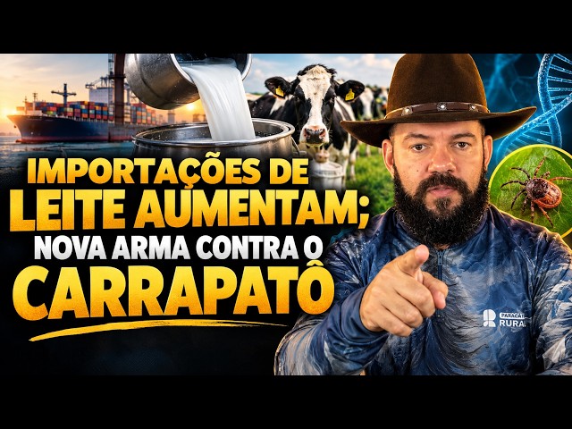 Importações de Leite Aumentam; Nova Arma Contra o Carrapato.