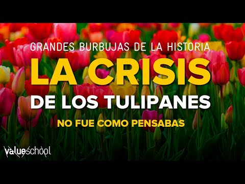 🌷 The Tulip Crisis - Value School