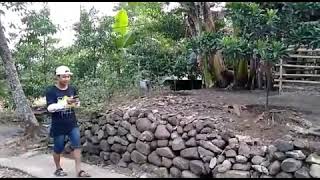 Download lagu Rumah Calon Mertua😂 bikin baperr 😁 (story WA kekinian) mp3 Download lagu Rumah Calon Mertua😂 bikin baperr 😁 (story WA kekinian) mp3