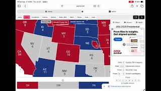 Alt 2024 election
