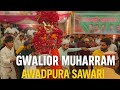 Gwalior Muharram Awadpura Pahadiya Sawari ️ 2025 Iamsohil