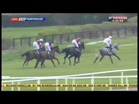 Powers Gold Cup 2014