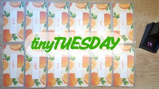 Tiny Tuesday! ☺️ #cashstuffing
