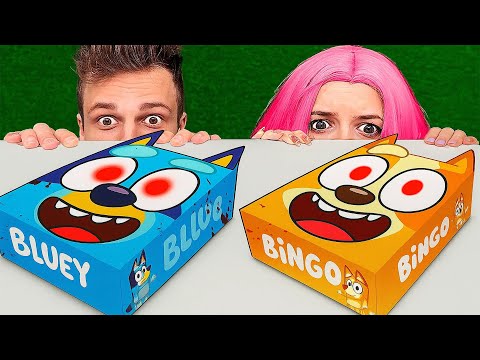 DO NOT OPEN THE LEGO SET WITH BLUEY AND BINGO AT 3:00 — THEY BECAME REAL!