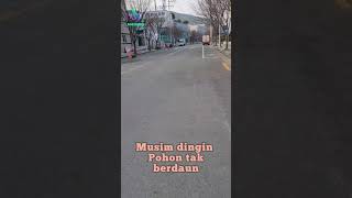 Download lagu musim semi korea selatan mp3 Download lagu musim semi korea selatan mp3