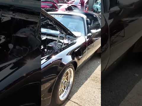 Trans Am (Burt Reynolds )￼