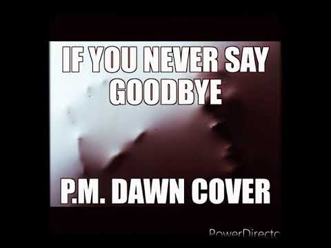 If You Never Say Goodbye - PM Dawn