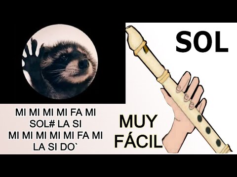Tik tok, Pedro P, flauta dulce fácil, tutorial con animación, easy flute recorder