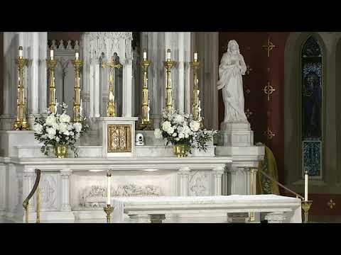 Stepping into the Muddy River: The Baptism of the Lord