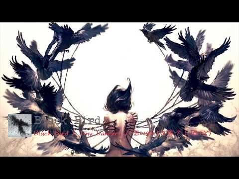 Black Bird / Aimer [ENG SUB] (「累 -かさね-」Theme Song)