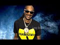 Snoop Dogg, DMX - We Are Dogs ft. Method Man, Redman