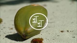 Baney &amp; Rayco Knoxville x IZAAX - Again (feat. Carla Jam)