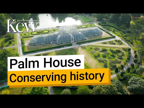 Restoring the Palm House at Kew Gardens: Part one - Decanting the plants