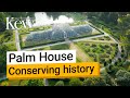 Restoring The Palm House At Kew Gardens Part One Decanting The Plants