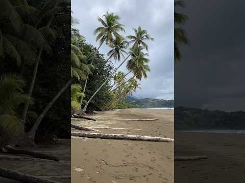 Manuel Antonio Beach in Costa Rica #costarica #travelvlog #beachlife #playa