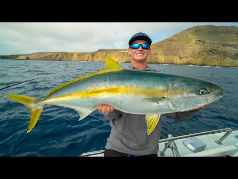 HUGE California Yellowtail! Catch Clean Cook (California Deep Sea Island Fishing)