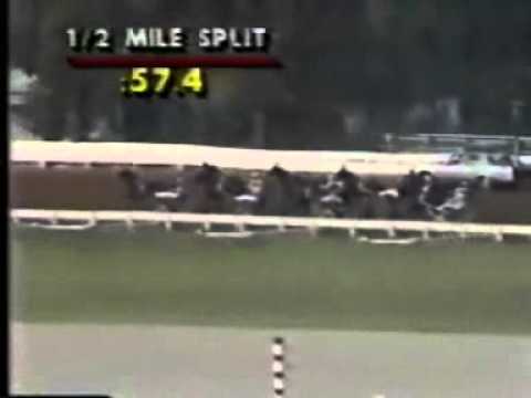 Breeders Crown 2Y Trot 1984 -Workaholic