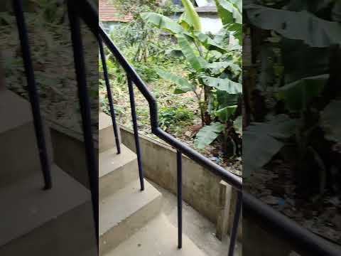 video 20210611 110901