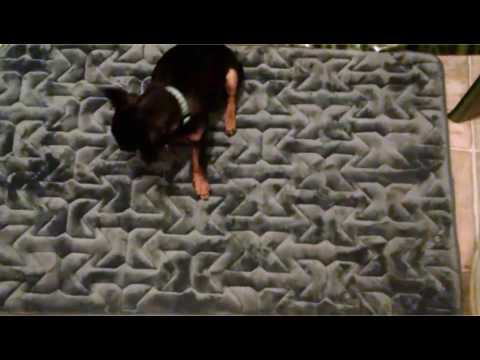 What the fuck Google