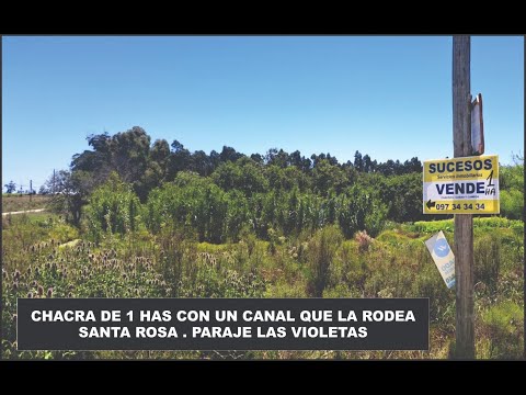 SANTA ROSA PASAJE LAS VIOLETAS: CHACRA DE 1 HÁ - ÍNDICE CONEAT 191